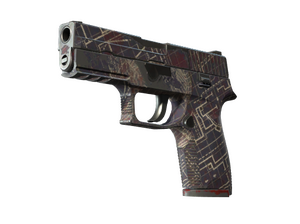 P250 | Чертёж-планировка (После полевых испытаний)